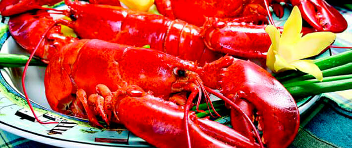 Lobster, Maine
