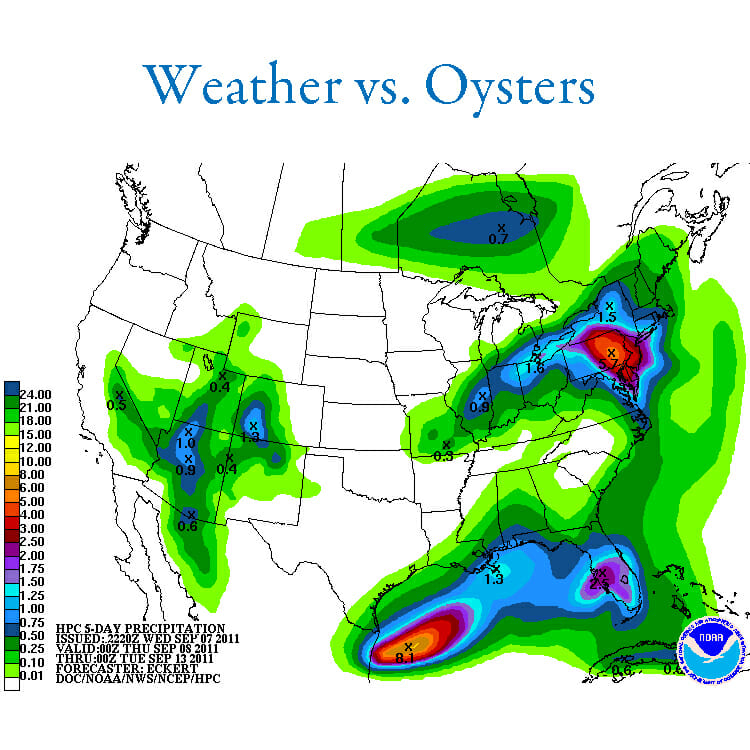 weathervsoysters