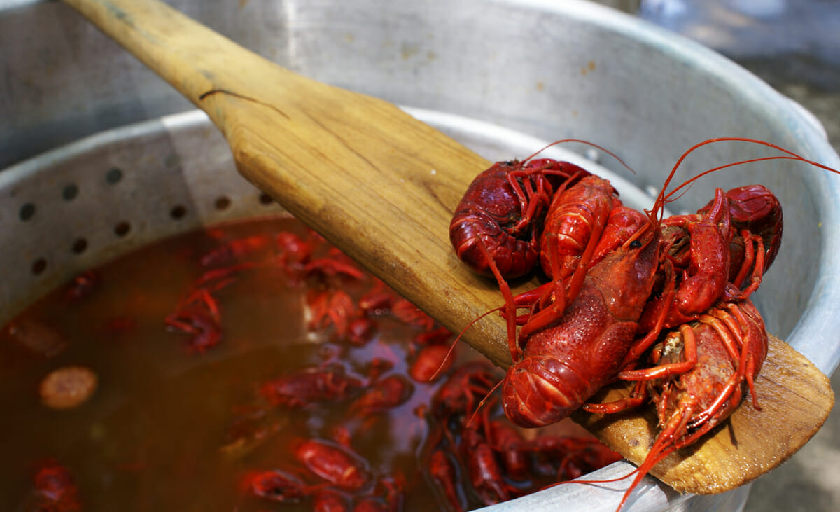 Live Crawfish featured on Fruge Seafood's Market Report