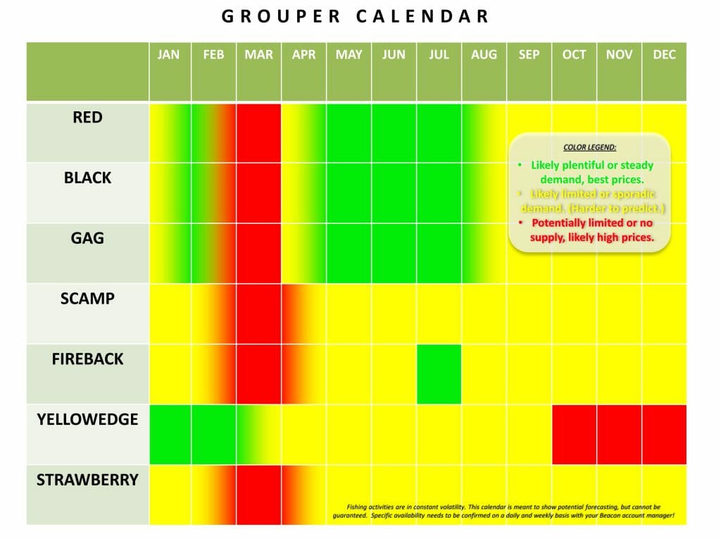 Grouper Forecast Calendar
