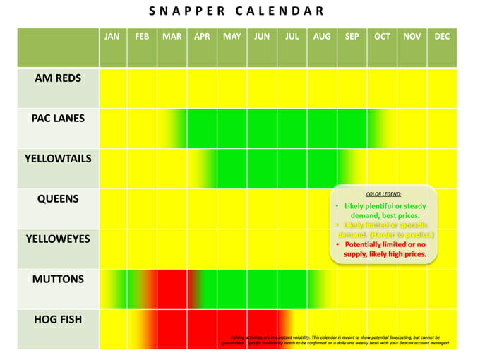 snapper seasonality calendar