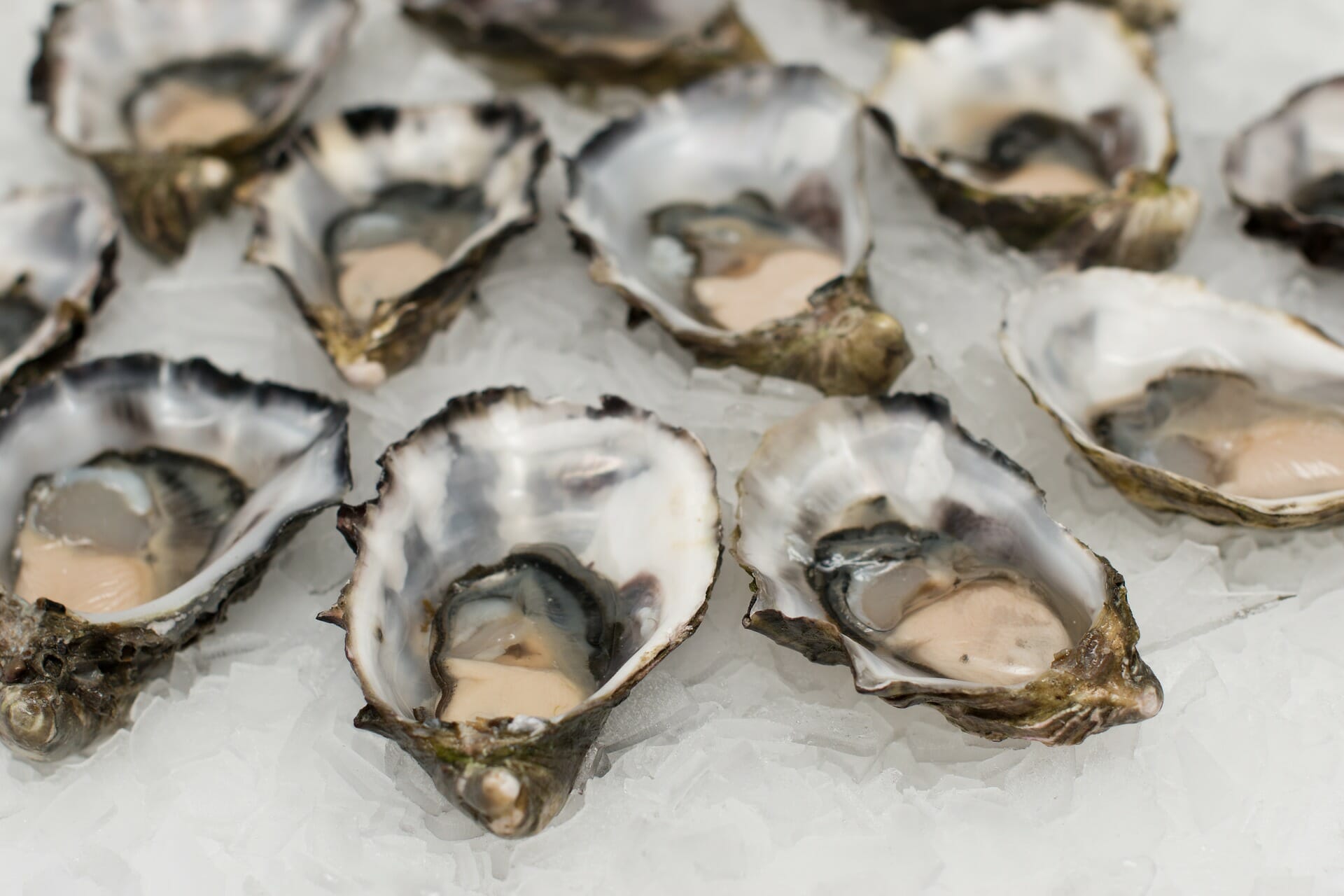 Oysters: Sustainable and Easy to Prepare