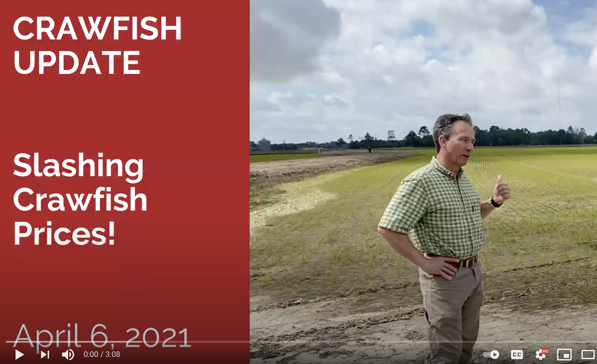 Pond Bank Talks: Slashing Crawfish Prices